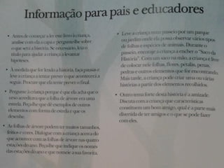 A magia da estrela do outono