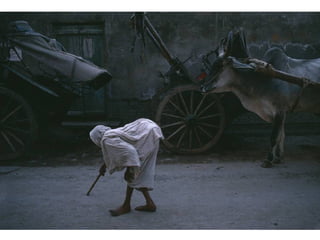 A magia da Fotografia