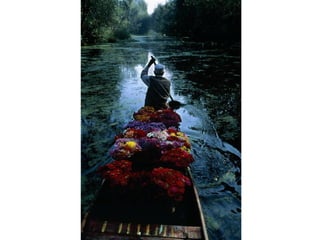 A magia da Fotografia