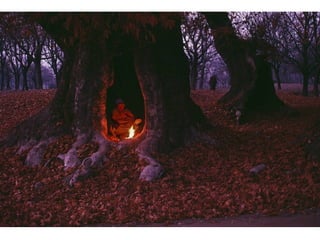 A magia da Fotografia