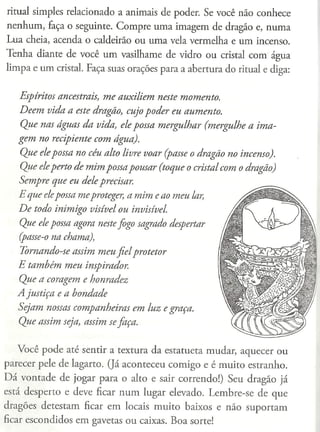 A magia dos dragões