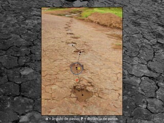 α
P
α = ângulo de passo; P = distância de passo.