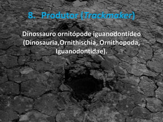 A maior trilha do brasil