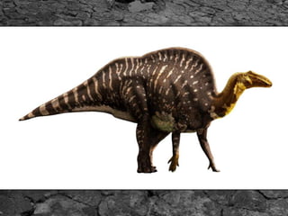 A maior trilha do brasil