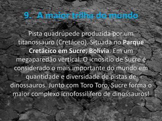 A maior trilha do brasil