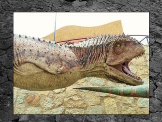 A maior trilha do brasil