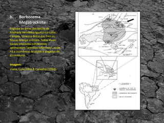 Engloba as áreas das bacias de
Malhada Vermelha-Iguatu-Icó-Lima
Campos, Uiraúna-Brejo das Freiras,
Sousa, Araripe e Cedro. Todas essas
bacias interiores nordestinas
apresentam “arenitos inferiores”, onde
há a ocorrência de pistas e pegadas de
dinossauros.
Imagem:
Viana, Lima Filho & Carvalho (1993).