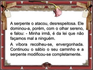A serpente o atacou, desrespeitosa. Ele
dominou-a, porém, com o olhar sereno,
e falou: - Minha irmã, é da lei que não
façamos mal a ninguém.
A víbora recolheu-se, envergonhada.
Continuou o sábio o seu caminho e a
serpente modificou-se completamente.
 