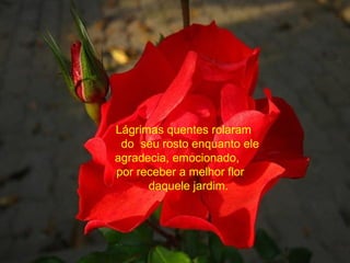 Lágrimas quentes rolaram
do seu rosto enquanto ele
agradecia, emocionado,
por receber a melhor flor
daquele jardim.
 