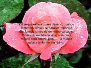 O bosque estava quase deserto, quando
o homem sentou-se para ler, embaixo
dos longos ramos de um velho carvalho.
Estava desiludido da vida, com boas
razões para chorar, pois o mundo
estava tentando afundá-lo.
 