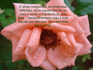 E ainda mergulhado em profundas
reflexões, levou aquela feia flor ao
nariz e sentiu a fragrância de uma
rosa... Verdadeiramente cego é todo
aquele que não quer ver a realidade
que o cerca.
 