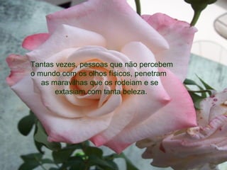 Tantas vezes, pessoas que não percebem
o mundo com os olhos físicos, penetram
as maravilhas que os rodeiam e se
extasiam com tanta beleza.
 