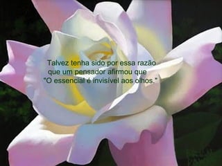Talvez tenha sido por essa razão
que um pensador afirmou que
"O essencial é invisível aos olhos."
 