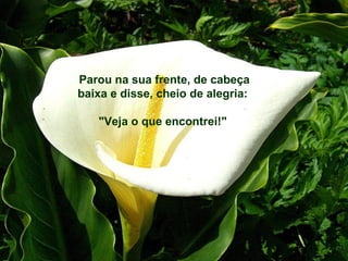 Parou na sua frente, de cabeça
baixa e disse, cheio de alegria:
"Veja o que encontrei!"
 