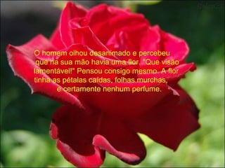 O homem olhou desanimado e percebeu
que na sua mão havia uma flor. "Que visão
lamentável!" Pensou consigo mesmo. A flor
tinha as pétalas caídas, folhas murchas,
e certamente nenhum perfume.
 