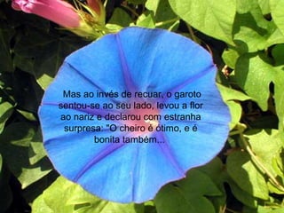 Mas ao invés de recuar, o garoto
sentou-se ao seu lado, levou a flor
ao nariz e declarou com estranha
surpresa: "O cheiro é ótimo, e é
bonita também...
 