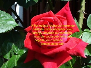 A flor estava morta ou morrendo,
nada de cores vibrantes como
laranja, amarelo ou vermelho,
mas ele sabia que tinha que
pegá-la, ou o menino
jamais sairia dali.
 