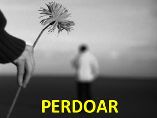 PERDOAR
 