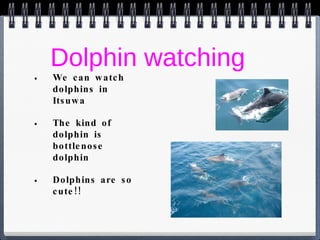 Dolphin watching We can watch dolphins in Itsuwa The kind of dolphin is bottlenose dolphin Dolphins are so cute!! 