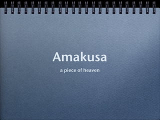 Amakusa
a piece of heaven
