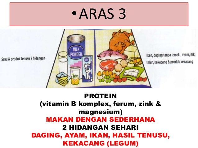 cara pemakanan mengikut piramid makanan