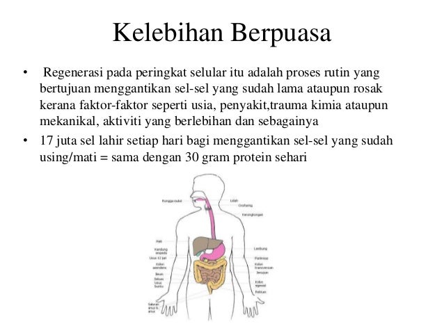 Amalan kesihatan di rumah berdasarkan sirah rasalullah s