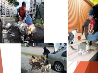 Amalan terbaik mapan