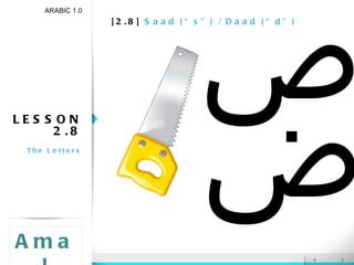 [2.8]  Saad (“s”) / Daad (“d”) LESSON 2.8 The Letters ARABIC 1.0 Amal ض ص 