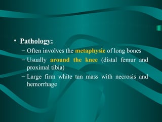 • Pathology:
  – Often involves the metaphysic of long bones
  – Usually around the knee (distal femur and
    proximal tibia)
  – Large firm white tan mass with necrosis and
    hemorrhage
 