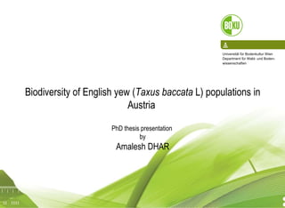 16/04/10 Biodiversity   of  English yew ( Taxus baccata  L) populations  in Austria   PhD thesis presentation  by A malesh  DHAR 
