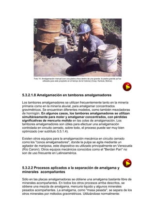 Foto 14. Amalgamación manual (con una piedra chica dentro de una grande, la piedra grande ya fue
utilizada para este propósito en el tiempo de la Colonia) (Coop. Kantuta, Bolivia).

5.3.2.1.8 Amalgamación en tambores amalgamadores
Los tambores amalgamadores se utilizan frecuentemente tanto en la minería
primaria como en la minería aluvial, para amalgamar concentrados
gravimétricos. Se encuentran diferentes modelos, como también mezcladoras
de hormigón. En algunos casos, los tambores amalgamadores se utilizan
simultáneamente para moler y amalgamar concentrados, con pérdidas
significativas de mercurio molido en las colas de amalgamación. Los
tambores amalgamadores son útiles para efectuar una amalgamación
controlada en circuito cerrado, sobre todo, el proceso puede ser muy bien
optimizado (ver subtítulo 5.5.1.4).
Existen otros equipos para la amalgamación mecánica en circuito cerrado
como los "conos amalgamadores", donde la pulpa se agita mediante un
agitador de mariposa, este dispositivo es utilizado principalmente en Venezuela
(Río Caroní). Otros equipos mecánicos conocidos como el "Berdan Pan" no
son de uso frecuente en Latinoamérica.

5.3.2.2 Procesos aplicados a la separación de amalgama y
minerales acompañantes
Sólo en las placas amalgamadoras se obtiene una amalgama bastante libre de
minerales acompañantes. En todos los otros procesos arriba descritos, se
obtiene una mezcla de amalgama, mercurio liquido y algunos minerales
pesados acompañantes. La amalgama, como "masa pesada", se separa de los
otros minerales por métodos gravimétricos. Utilizándose normalmente:

 
