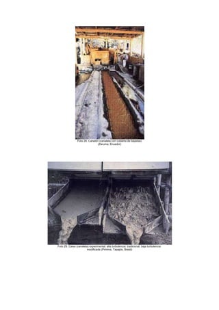 Foto 28. Canelón (canaleta con cubierta de bayetas)
(Zaruma, Ecuador)

Foto 29. Caixa (canaleta) experimental; alta turbulencia: tradicional, baja turbulencia:
modificada (Piririma, Tapajós, Brasil)

 