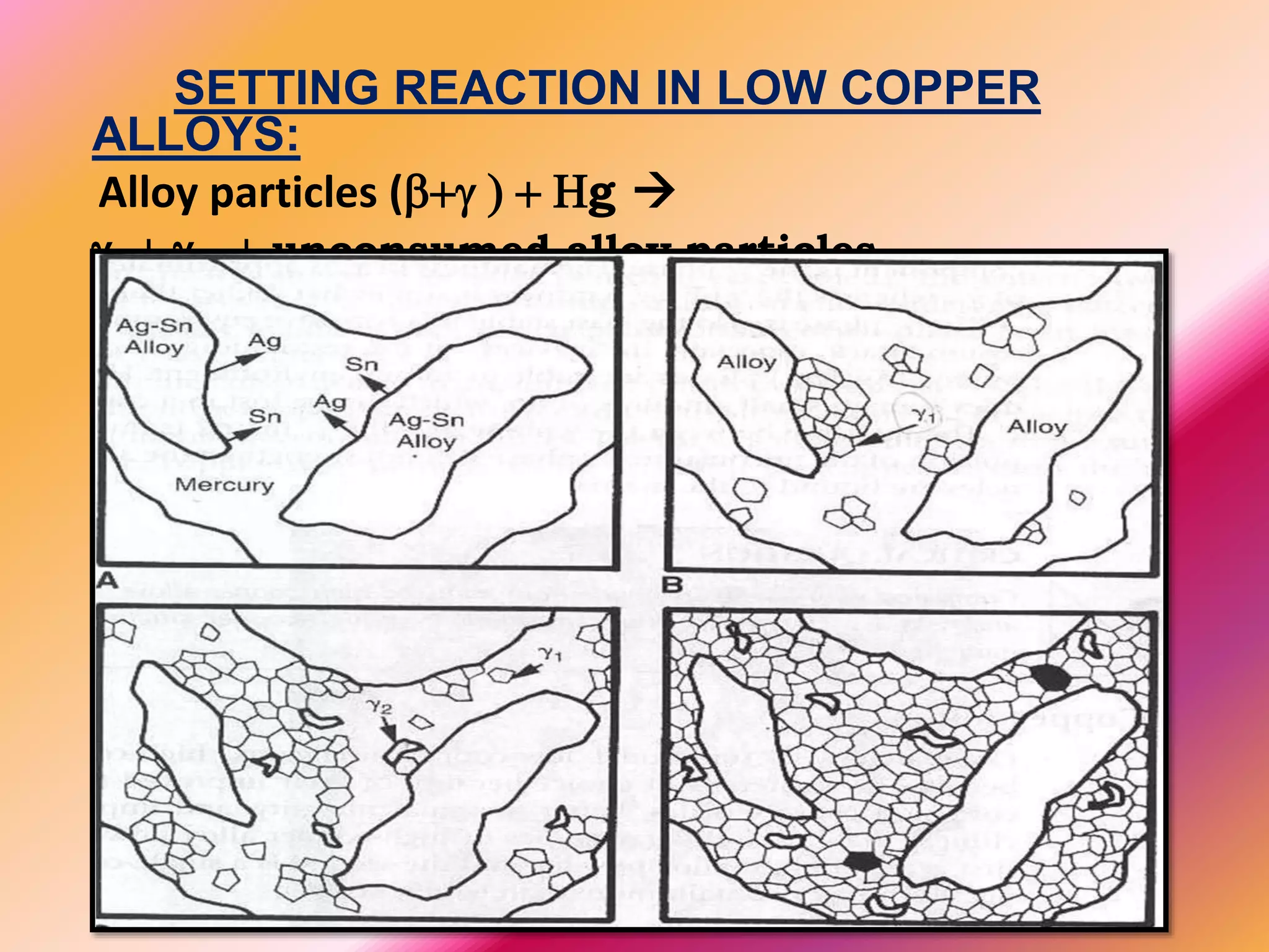 SETTING REACTION IN LOW COPPER
ALLOYS:
Alloy particles (b+g ) + Hg 
g₁ + g ₂ + unconsumed alloy particles.
 