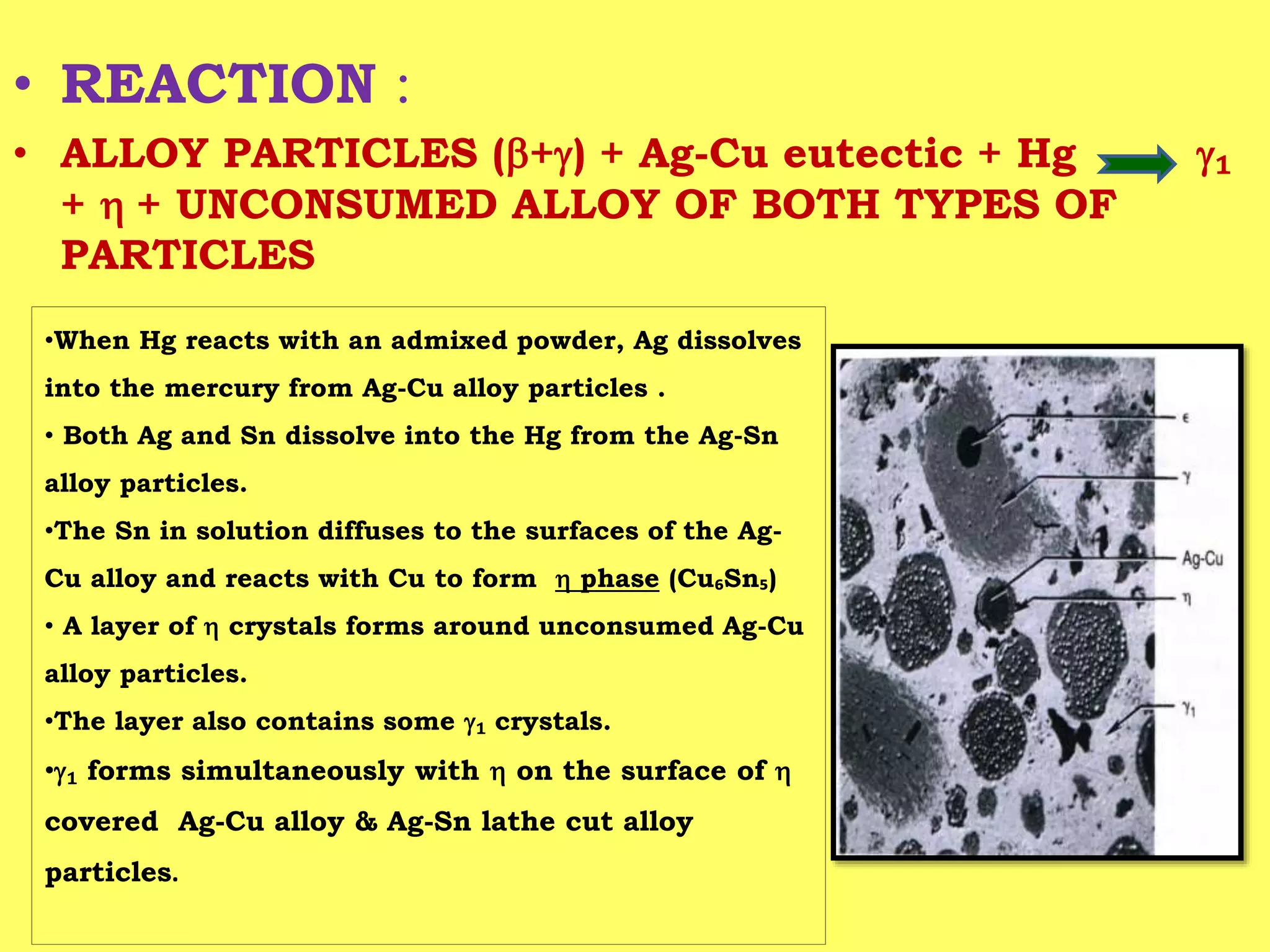 • REACTION :
• ALLOY PARTICLES (b+g) + Ag-Cu eutectic + Hg g₁
+ h + UNCONSUMED ALLOY OF BOTH TYPES OF
PARTICLES
•When Hg reacts with an admixed powder, Ag dissolves
into the mercury from Ag-Cu alloy particles .
• Both Ag and Sn dissolve into the Hg from the Ag-Sn
alloy particles.
•The Sn in solution diffuses to the surfaces of the Ag-
Cu alloy and reacts with Cu to form h phase (Cu₆Sn₅)
• A layer of h crystals forms around unconsumed Ag-Cu
alloy particles.
•The layer also contains some g₁ crystals.
•g₁ forms simultaneously with h on the surface of h
covered Ag-Cu alloy & Ag-Sn lathe cut alloy
particles.
 