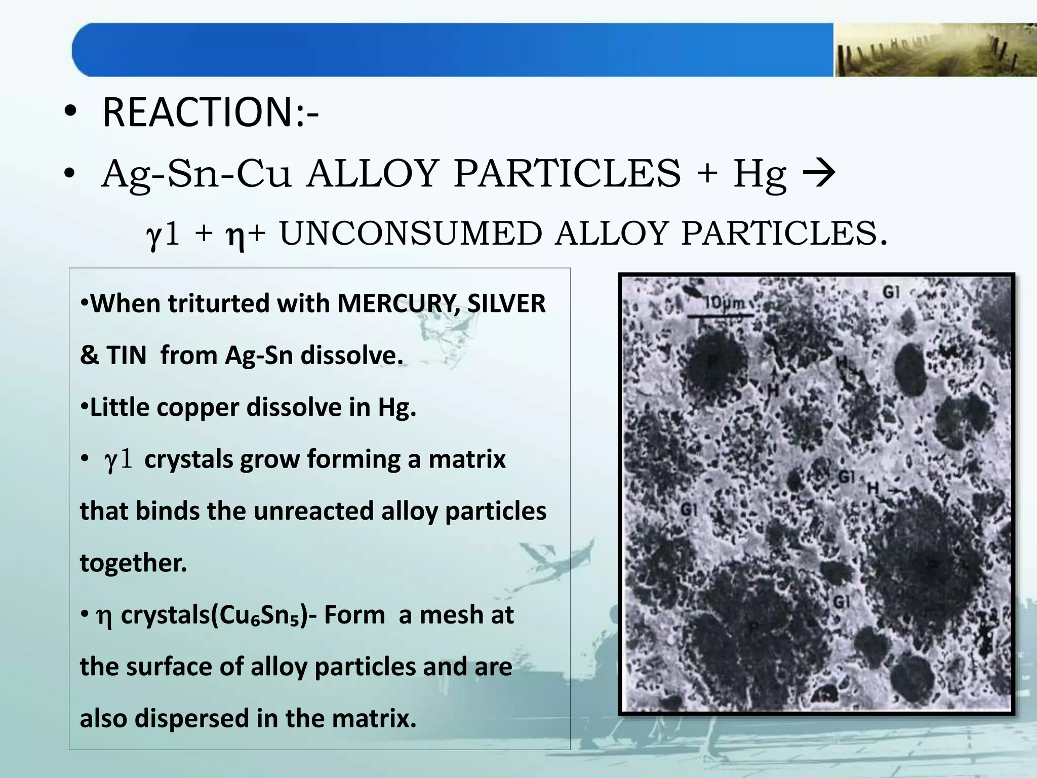 • REACTION:-
• Ag-Sn-Cu ALLOY PARTICLES + Hg 
g1 + h+ UNCONSUMED ALLOY PARTICLES.
•When triturted with MERCURY, SILVER
& TIN from Ag-Sn dissolve.
•Little copper dissolve in Hg.
• g1 crystals grow forming a matrix
that binds the unreacted alloy particles
together.
• h crystals(Cu₆Sn₅)- Form a mesh at
the surface of alloy particles and are
also dispersed in the matrix.
 