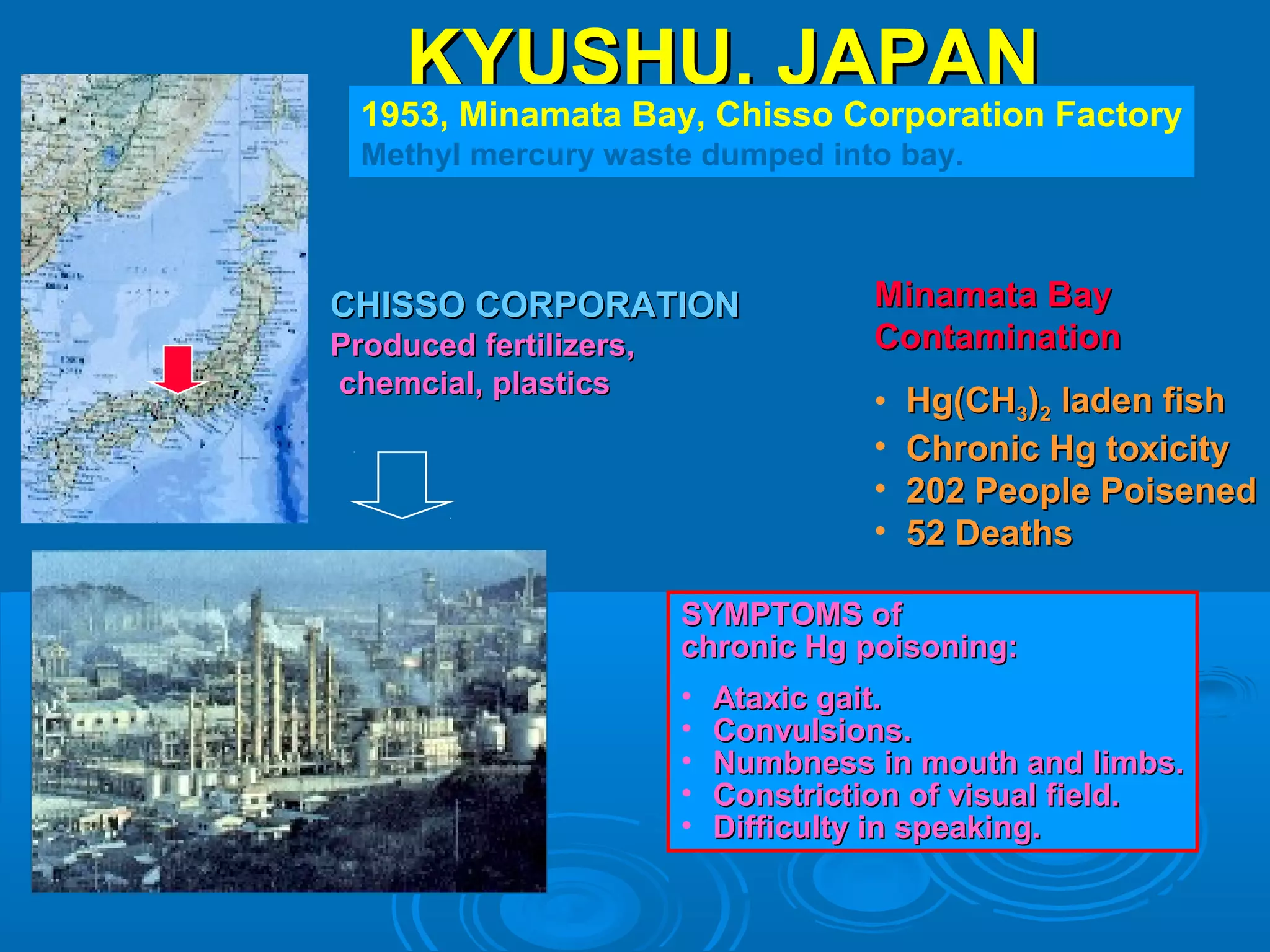 KKYYUUSSHHUU,, JJAAPPAANN 
1953, Minamata Bay, Chisso Corporation Factory 
Methyl mercury waste dumped into bay. 
CCHHIISSSSOO CCOORRPPOORRAATTIIOONN 
PPrroodduucceedd ffeerrttiilliizzeerrss,, 
cchheemmcciiaall,, ppllaassttiiccss 
MMiinnaammaattaa BBaayy 
CCoonnttaammiinnaattiioonn 
• HHgg((CCHH33))22 llaaddeenn ffiisshh 
• CChhrroonniicc HHgg ttooxxiicciittyy 
• 220022 PPeeooppllee PPooiisseenneedd 
• 522 DDeeaatthhss 
SSYYMMPPTTOOMMSS ooff 
cchhrroonniicc HHgg ppooiissoonniinngg:: 
• AAttaaxxiicc ggaaiitt.. 
• CCoonnvvuullssiioonnss.. 
• NNuummbbnneessss iinn mmoouutthh aanndd lliimmbbss.. 
• CCoonnssttrriiccttiioonn ooff vviissuuaall ffiieelldd.. 
• DDiiffffiiccuullttyy iinn ssppeeaakkiinngg.. 
 