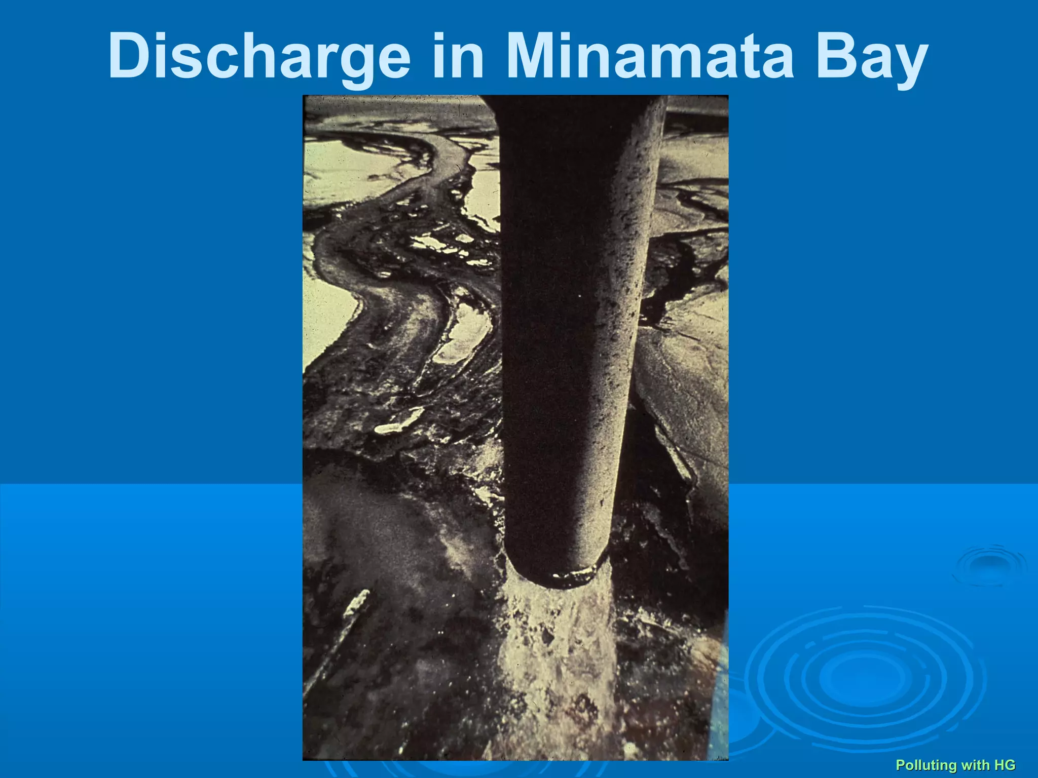 Discharge in Minamata Bay 
PPoolllluuttiinngg wwiitthh HHGG 
 