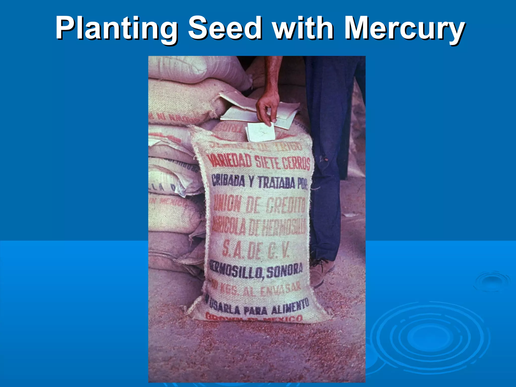 PPllaannttiinngg SSeeeedd wwiitthh MMeerrccuurryy 
 