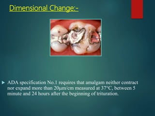 Dimensional Change:-
 ADA specification No.1 requires that amalgam neither contract
nor expand more than 20m/cm measured at 37°C, between 5
minute and 24 hours after the beginning of trituration.
 