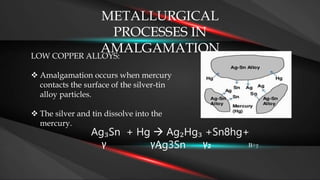 Amalgam dental ppt for dental material study | PPTX