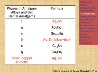 Amalgam past,present& future-I | PPTX
