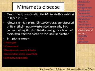 Minamata disease
• Came into existance after the Minimata Bay incident
in Japan in 1952
• A local chemical plant (Chisso Corporation) disposed
of its methylmercury waste into the nearby bay,
contaminating the shellfish & causing toxic levels of
mercury in the fish eaten by the local population
• Symptoms were:1.Ataxic gait
2.Convulsions
3.Numbness in mouth & limbs
4.Constriction in the visual field
5.Difficulty in speaking

Introduction
History
Amalgam wars
Classification
Components
setting reaction
Manufacture
Properties
Manipulation
Recent advances
Sideeffects of
mercury
Durability
Future
Conclusion

106

Sturdevant’s Art & Science of Operative Dentistry; 5th ed

 