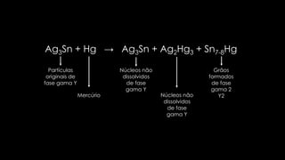 Ag3Sn + Hg → Ag3Sn + Ag2Hg3 + Sn7-8Hg
Partículas
originais de
fase gama Y
Mercúrio
Núcleos não
dissolvidos
de fase
gama Y
Núcleos não
dissolvidos
de fase
gama Y
Grãos
formados
de fase
gama 2
Y2
 