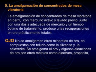 5. La amalgamación de concentrados de mesa 
vibratoria 
La amalgamación de concentrados de mesa vibratoria 
en barril, con mercurio activo y lavado previo, junto 
con una dósis adecuada de mercurio y un tiempo 
óptimo de tratamiento, produce unas recuperaciones 
en oro prácticamente totales. 
OJO No se amalgaman otros minerales de oro, en 
compuestos con telurio como la silvanita y la 
calaverita. Se amalgama el oro y algunos aleaciones 
de oro con otros metales como electrum, propecita, 
 