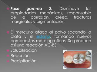    Fase   gamma      2:   Disminuye las
    propiedades mecánicas, responsable
    de la corrosión, creep, fracturas
    marginales y pigmentación.

 El mercurio ataca al polvo sacando la
  plata y el estaño, formando nuevos
  compuestos metalograficos. Se produce
  así una reacción AC-BS:
 Solubilización
 Reacción
 Precipitación.
 