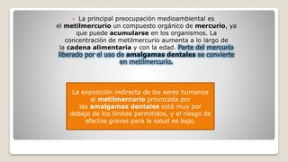  La principal preocupación medioambiental es
el metilmercurio un compuesto orgánico de mercurio, ya
que puede acumularse en los organismos. La
concentración de metilmercurio aumenta a lo largo de
la cadena alimentaria y con la edad. Parte del mercurio
liberado por el uso de amalgamas dentales se convierte
en metilmercurio.
La exposición indirecta de los seres humanos
al metilmercurio provocada por
las amalgamas dentales está muy por
debajo de los límites permitidos, y el riesgo de
efectos graves para la salud es bajo.
 
