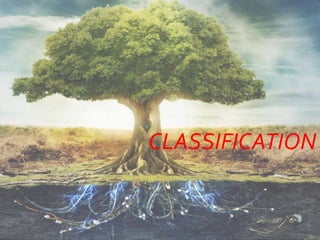 CLASSIFICATION
 
