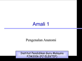 Amali 1
Pengenalan Anatomi
Institut Pendidikan Guru Malaysia
PJM3106 (PJ ELEKTIF)
 