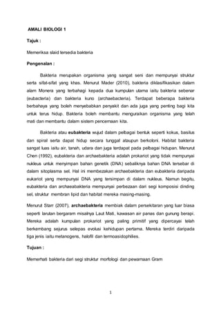 1
AMALI BIOLOGI 1
Tajuk :
Memeriksa slaid tersedia bakteria
Pengenalan :
Bakteria merupakan organisma yang sangat seni dan mempunyai struktur
serta sifat-sifat yang khas. Menurut Mader (2010), bakteria diklasifikasikan dalam
alam Monera yang terbahagi kepada dua kumpulan utama iaitu bakteria sebenar
(eubacteria) dan bakteria kuno (archaebacteria). Terdapat beberapa bakteria
berbahaya yang boleh menyebabkan penyakit dan ada juga yang penting bagi kita
untuk terus hidup. Bakteria boleh membantu menguraikan organisma yang telah
mati dan membantu dalam sistem pencernaan kita.
Bakteria atau eubakteria wujud dalam pelbagai bentuk seperti kokus, basilus
dan spiral serta dapat hidup secara tunggal ataupun berkoloni. Habitat bakteria
sangat luas iaitu air, tanah, udara dan juga terdapat pada pelbagai hidupan. Menurut
Chen (1992), eubakteria dan archaebakteria adalah prokariot yang tidak mempunyai
nukleus untuk menyimpan bahan genetik (DNA) sebaliknya bahan DNA tersebar di
dalam sitoplasma sel. Hal ini membezakan archaebakteria dan eubakteria daripada
eukariot yang mempunyai DNA yang tersimpan di dalam nukleus. Namun begitu,
eubakteria dan archaeabakteria mempunyai perbezaan dari segi komposisi dinding
sel, struktur membran lipid dan habitat mereka masing-masing.
Menurut Starr (2007), archaebakteria membiak dalam persekitaran yang luar biasa
seperti larutan bergaram misalnya Laut Mati, kawasan air panas dan gunung berapi.
Mereka adalah kumpulan prokariot yang paling primitif yang dipercayai telah
berkembang sejurus selepas evolusi kehidupan pertama. Mereka terdiri daripada
tiga jenis iaitu metanogens, halofil dan termoasidophilies.
Tujuan :
Memerhati bakteria dari segi struktur morfologi dan pewarnaan Gram
 