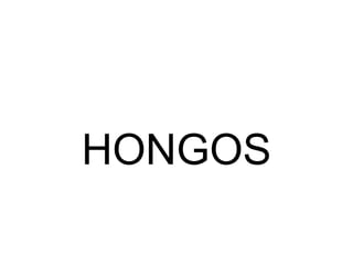 HONGOS
 